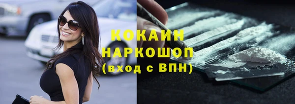 шишки Богородск